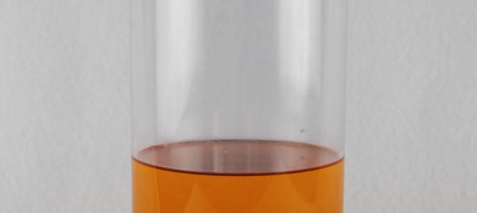 Rotierende Flüssigkeit im Zylinder – Ein Paraboloid im Glas